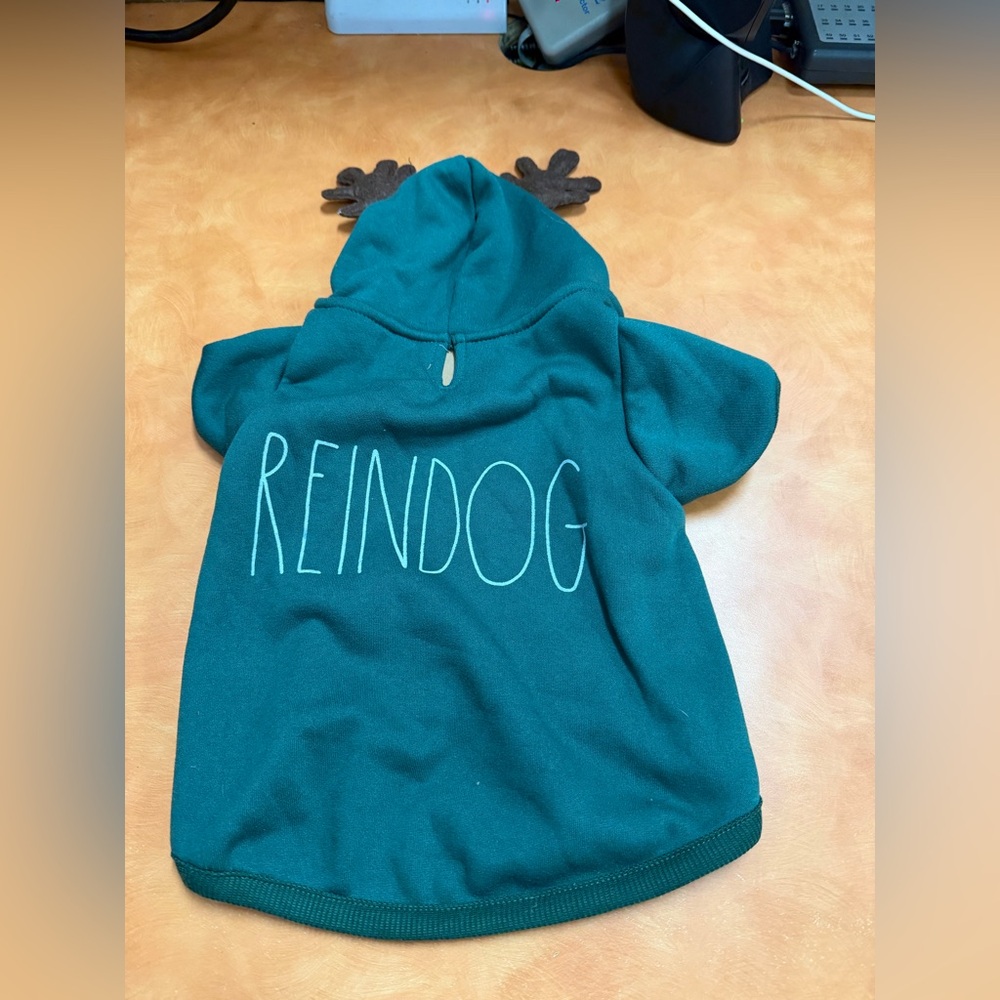 Rae Dunn Green Dog Hoodie - Reindog